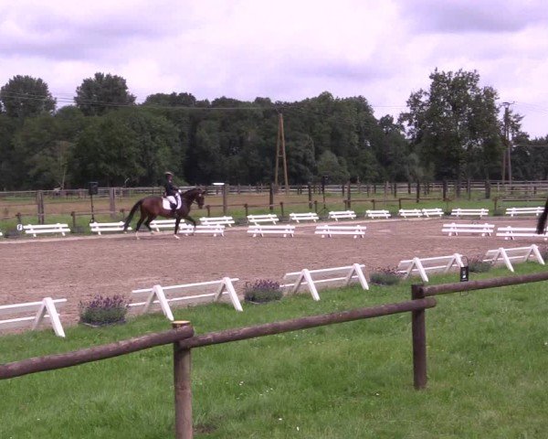Reitturnier Nettetal-Lobberich 2024