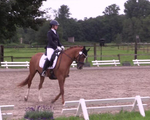 Reitturnier Nettetal-Lobberich 2024