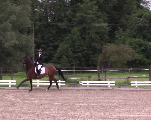 Reitturnier Nettetal-Lobberich 2024