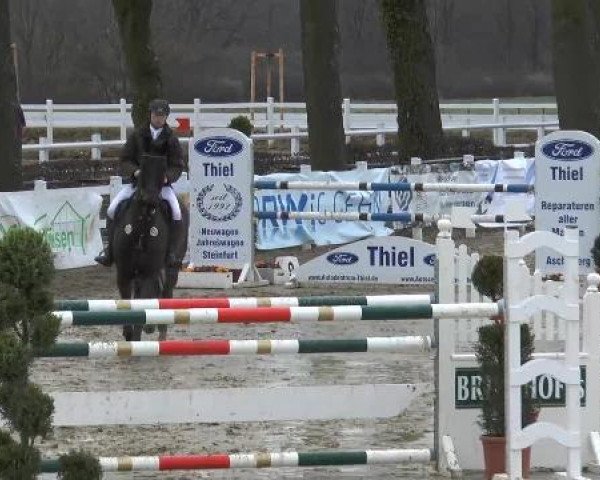 Reitturnier Werne-Lenklar 2013