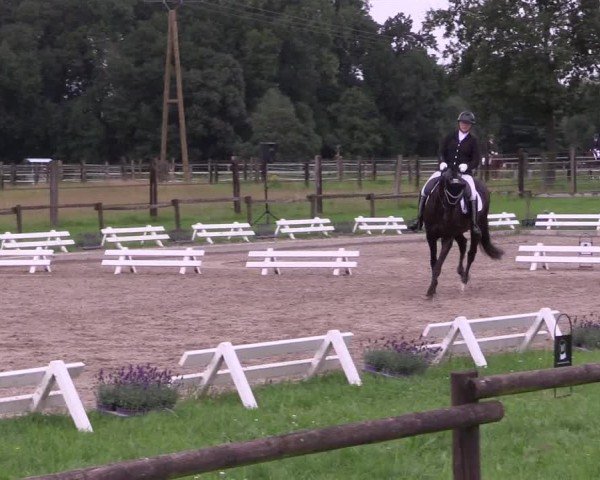 Reitturnier Nettetal-Lobberich 2024