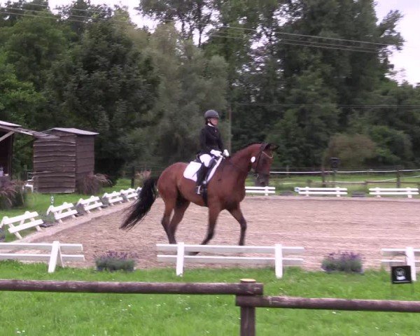 Reitturnier Nettetal-Lobberich 2024