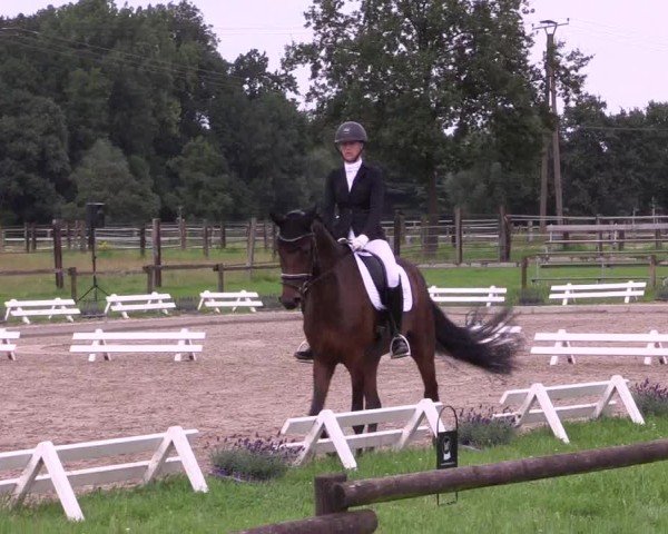 Reitturnier Nettetal-Lobberich 2024