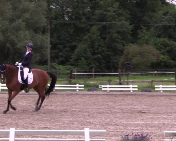 Reitturnier Nettetal-Lobberich 2024