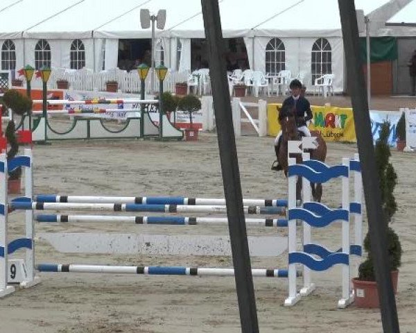Reitturnier Werne-Lenklar 2013
