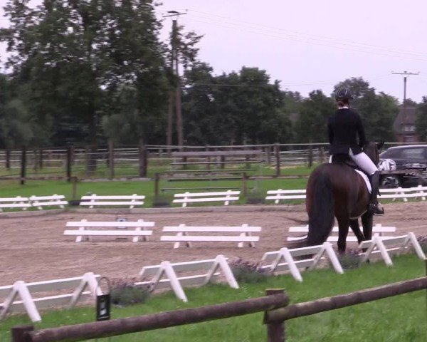 Reitturnier Nettetal-Lobberich 2024