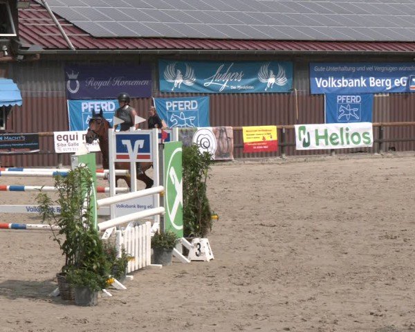 Reitturnier Marienheide-Kempershöhe 2024