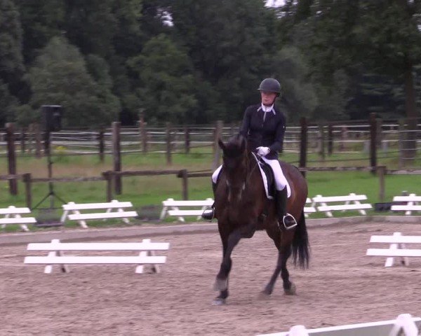 Reitturnier Nettetal-Lobberich 2024