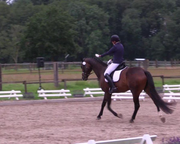 Reitturnier Nettetal-Lobberich 2024