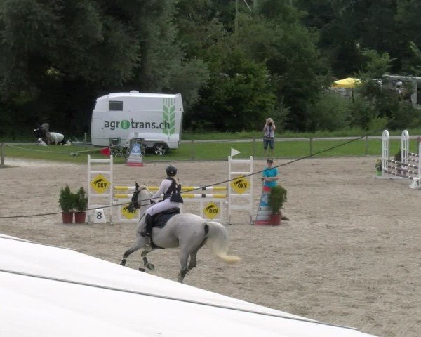 Reitturnier Gossau 2024