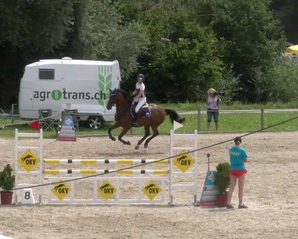 Reitturnier Gossau 2024