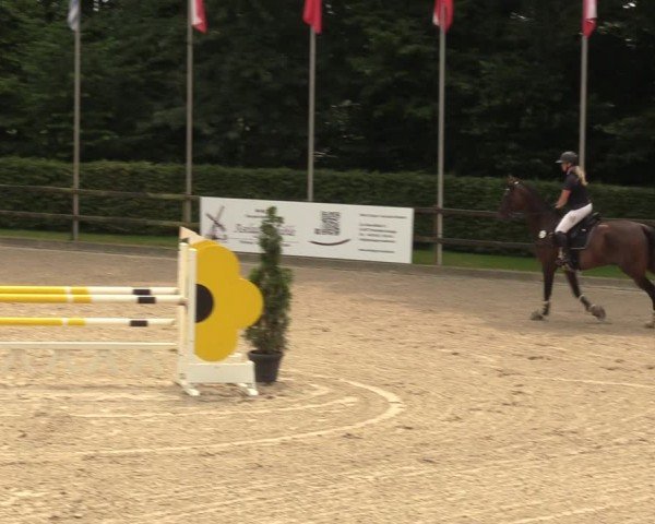 Reitturnier Klein Roscharden 2024