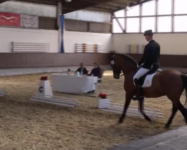 Dressur- und Springturnier Eröffnung der grünen Saison 2013