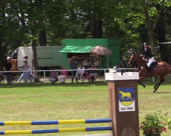 Reitturnier Zobbenitz 2024
