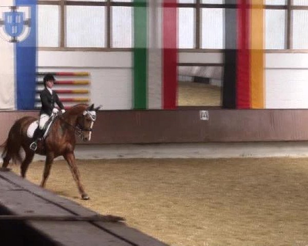Dressur- und Springturnier Eröffnung der grünen Saison 2013