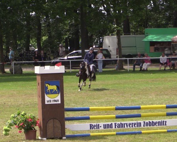 Reitturnier Zobbenitz 2024