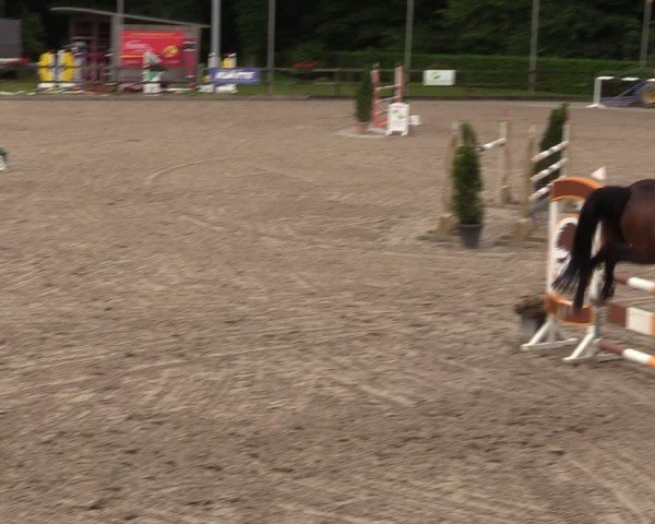Reitturnier Klein Roscharden 2024