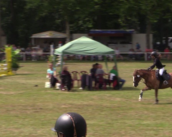 Reitturnier Zobbenitz 2024
