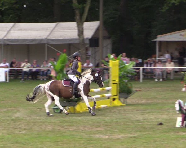 Reitturnier Zobbenitz 2024