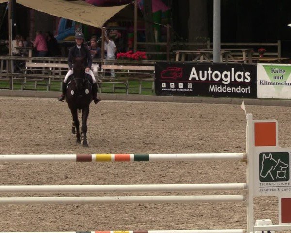 Reitturnier Klein Roscharden 2024