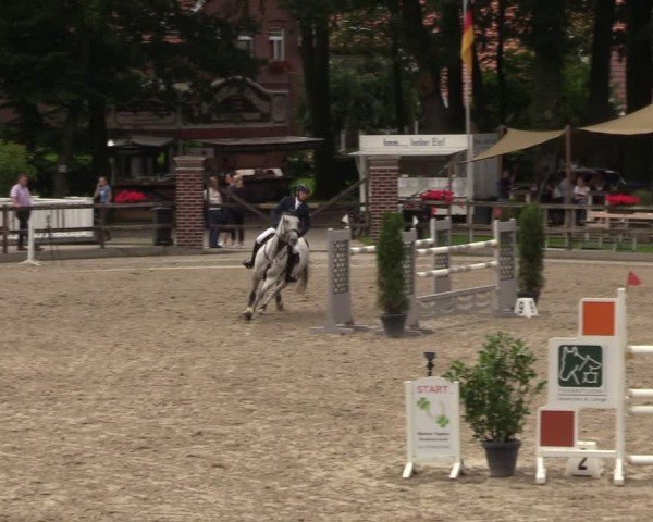 Reitturnier Klein Roscharden 2024