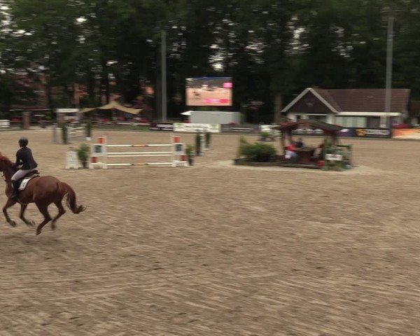 Reitturnier Klein Roscharden 2024