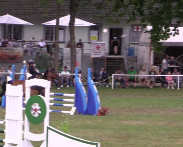 Reitturnier Zobbenitz 2024