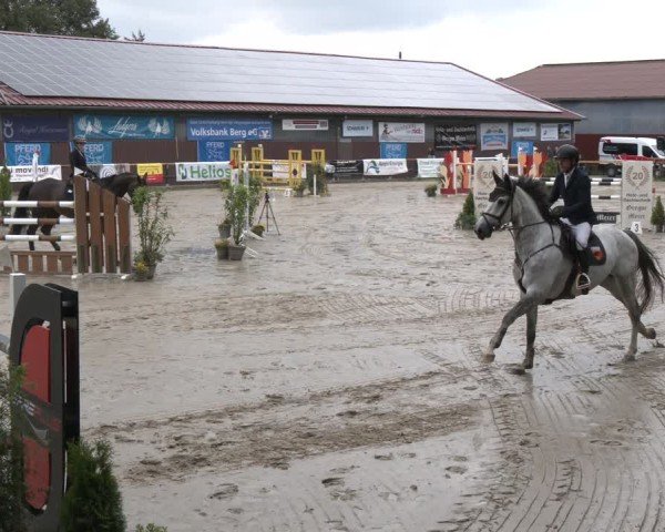 Reitturnier Marienheide-Kempershöhe 2024