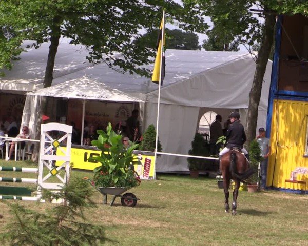 Reitturnier Zobbenitz 2024