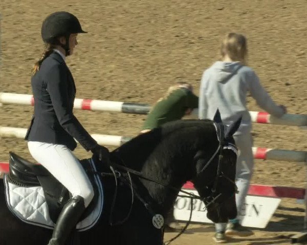 Reitturnier Böblingen 2021