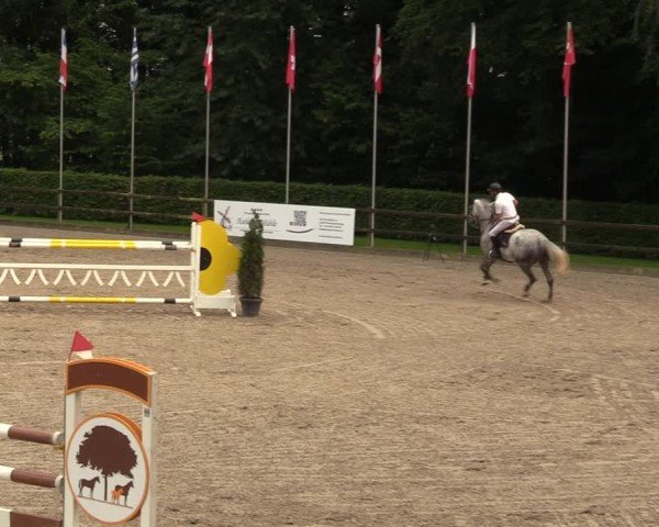 Reitturnier Klein Roscharden 2024