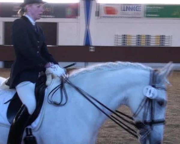 Dressur- und Springturnier Eröffnung der grünen Saison 2013
