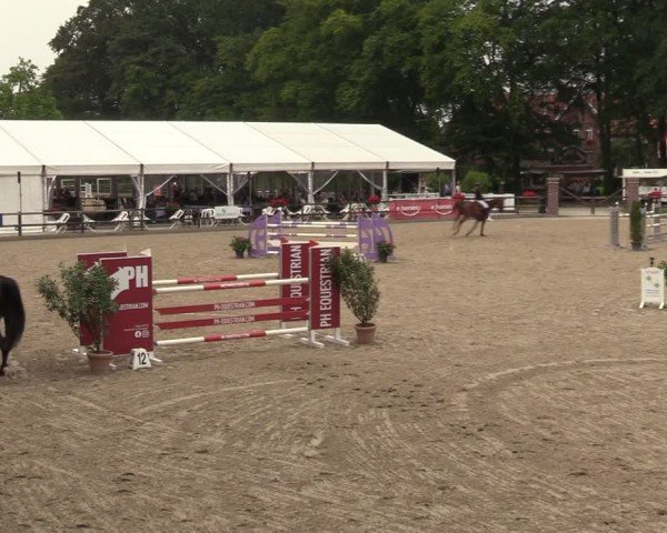 Reitturnier Klein Roscharden 2024