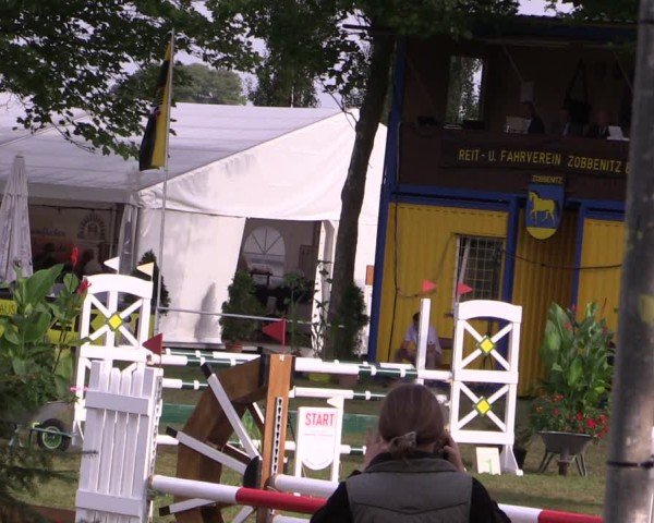 Reitturnier Zobbenitz 2024
