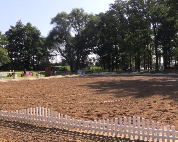 Reitturnier Zobbenitz 2024