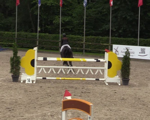 Reitturnier Klein Roscharden 2024