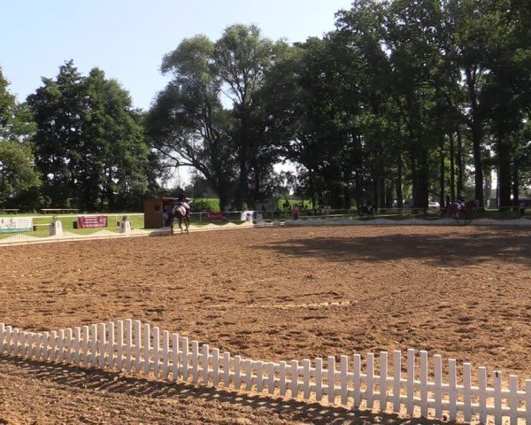 Reitturnier Zobbenitz 2024