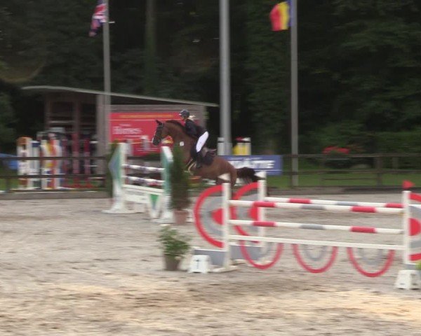 Reitturnier Klein Roscharden 2024