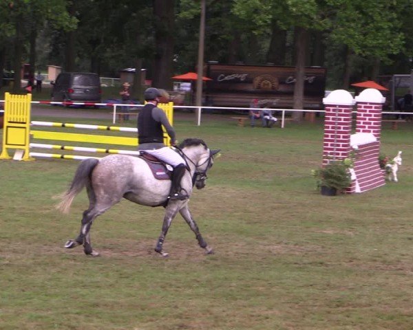 Reitturnier Zobbenitz 2024