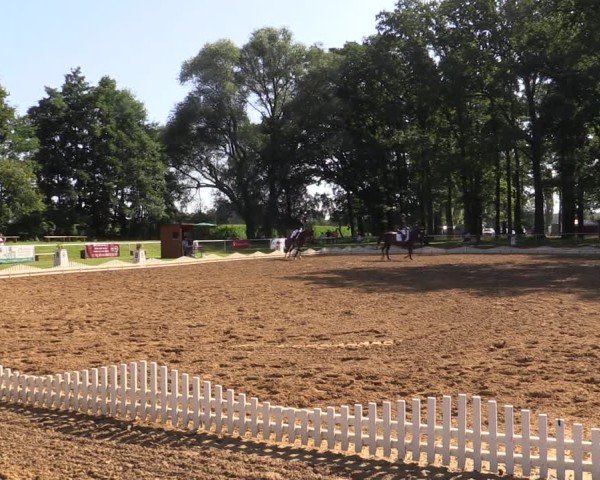 Reitturnier Zobbenitz 2024