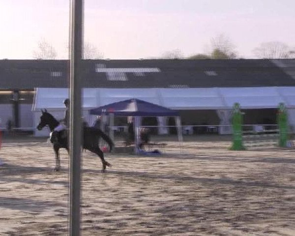 Dressur- und Springturnier Eröffnung der grünen Saison 2013