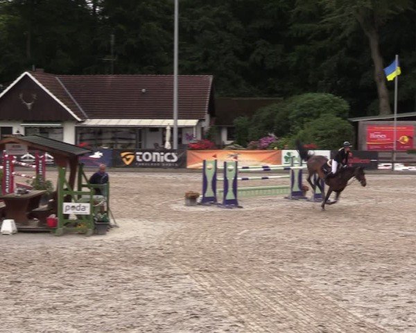 Reitturnier Klein Roscharden 2024