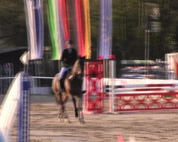 Dressur- und Springturnier Eröffnung der grünen Saison 2013