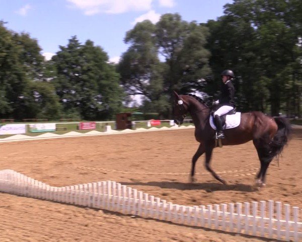 Reitturnier Zobbenitz 2024