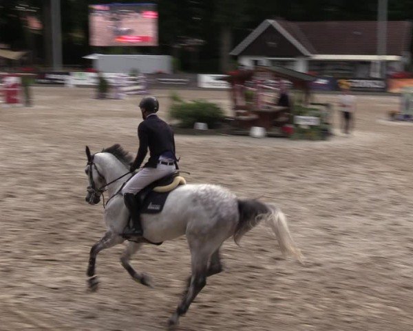 Reitturnier Klein Roscharden 2024