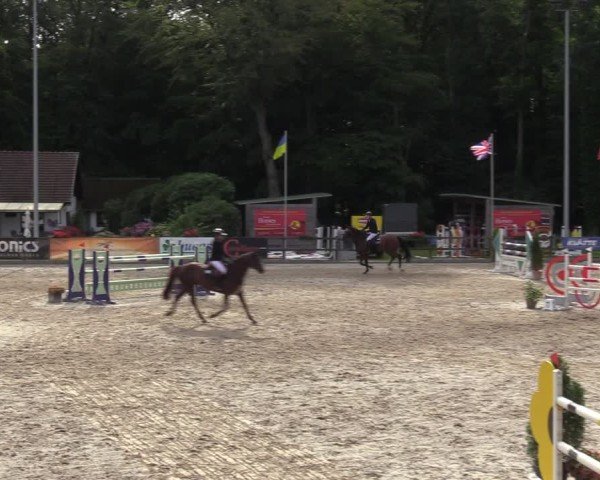 Reitturnier Klein Roscharden 2024