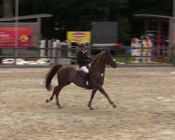 Reitturnier Klein Roscharden 2024