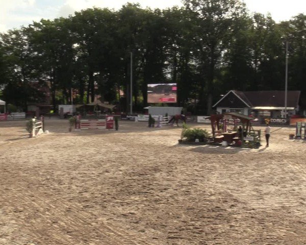 Reitturnier Klein Roscharden 2024