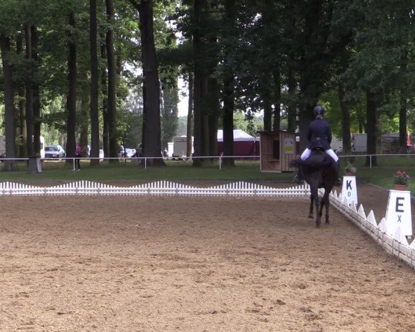 Reitturnier Zobbenitz 2024