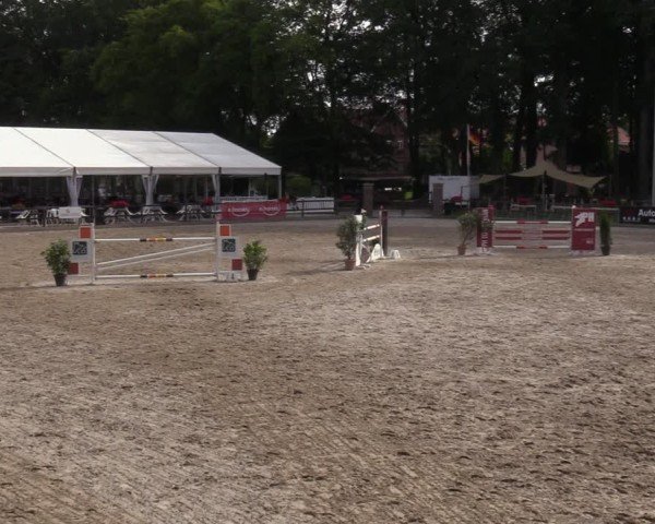Reitturnier Klein Roscharden 2024